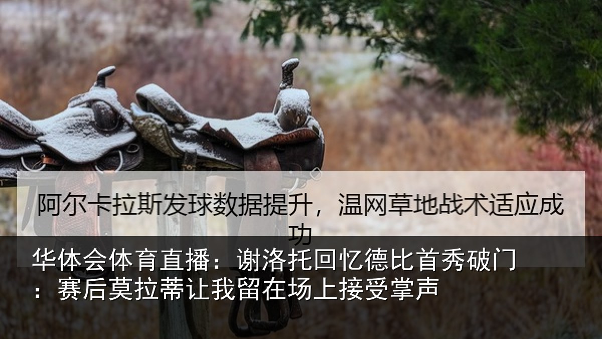 华体会体育直播:谢洛相关情况门赛相关情况场上接受掌声