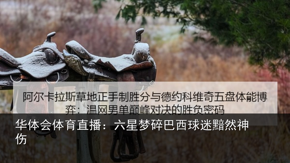 华体会体育直播：六星梦碎巴西球迷黯然神伤