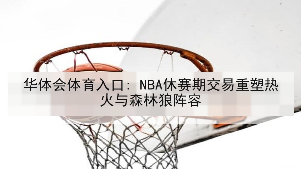 华体会体育入口: NBA休赛期交易重塑热火与森林狼阵容