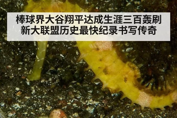 棒球界大谷翔平达成生涯三百轰刷新大联盟历史最快纪录书写传奇