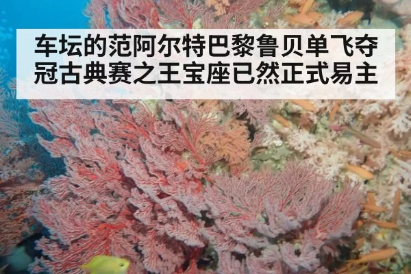 车坛的范阿尔特巴黎鲁贝单飞夺冠古典赛之王宝座已然正式易主